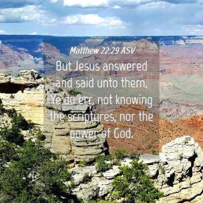 Picture 04 - Matthew 22:29 ASV - But Jesus answered and said unto them, Ye do err, - Bible Verse Picture
