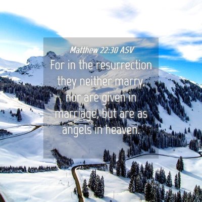Picture 04 - Matthew 22:30 ASV - For in the resurrection they neither marry, nor - Bible Verse Picture