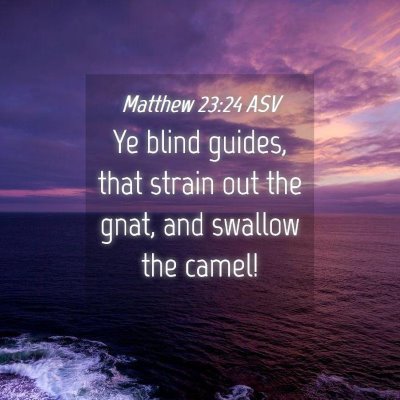 Picture 04 - Matthew 23:24 ASV - Ye blind guides, that strain out the gnat, and - Bible Verse Picture