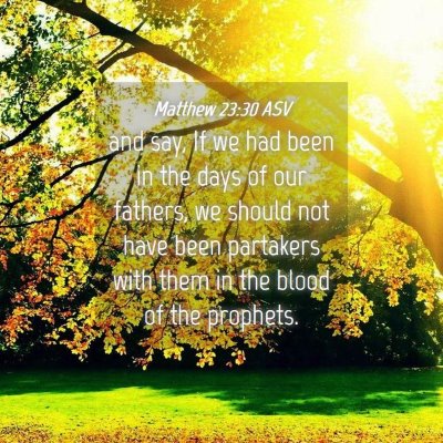 Picture 04 - Matthew 23:30 ASV - and say, If we had been in the days of our - Bible Verse Picture