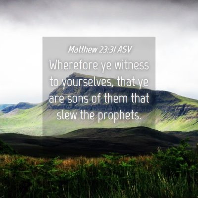 Picture 04 - Matthew 23:31 ASV - Wherefore ye witness to yourselves, that ye are - Bible Verse Picture