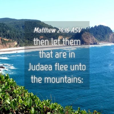 Picture 04 - Matthew 24:16 ASV - then let them that are in Judaea flee unto the - Bible Verse Picture