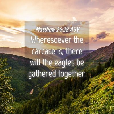 Picture 04 - Matthew 24:28 ASV - Wheresoever the carcase is, there will the eagles - Bible Verse Picture