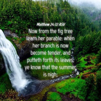Picture 04 - Matthew 24:32 ASV - Now from the fig tree learn her parable: when her - Bible Verse Picture