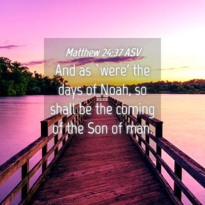 Picture 04 - Matthew 24:37 ASV - And as `were' the days of Noah, so shall be the - Bible Verse Picture