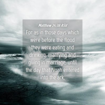 Picture 04 - Matthew 24:38 ASV - For as in those days which were before the flood - Bible Verse Picture
