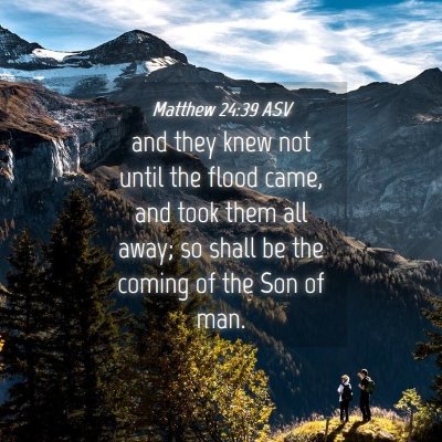 Picture 04 - Matthew 24:39 ASV - and they knew not until the flood came, and took - Bible Verse Picture