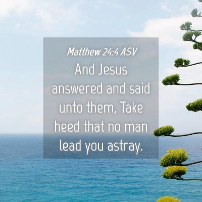 Picture 04 - Matthew 24:4 ASV - And Jesus answered and said unto them, Take heed - Bible Verse Picture