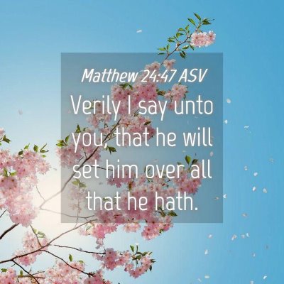 Picture 04 - Matthew 24:47 ASV - Verily I say unto you, that he will set him over - Bible Verse Picture