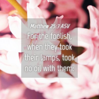 Picture 04 - Matthew 25:3 ASV - For the foolish, when they took their lamps, took - Bible Verse Picture