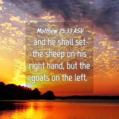 Picture 04 - Matthew 25:33 ASV - and he shall set the sheep on his right hand, but - Bible Verse Picture