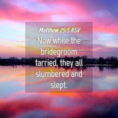Picture 04 - Matthew 25:5 ASV - Now while the bridegroom tarried, they all - Bible Verse Picture