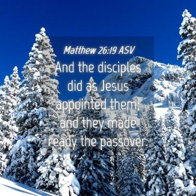 Picture 04 - Matthew 26:19 ASV - And the disciples did as Jesus appointed them; - Bible Verse Picture
