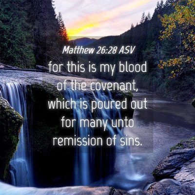 Picture 04 - Matthew 26:28 ASV - for this is my blood of the covenant, which is - Bible Verse Picture
