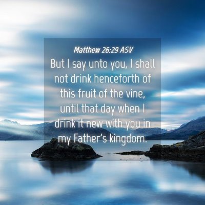 Picture 04 - Matthew 26:29 ASV - But I say unto you, I shall not drink henceforth - Bible Verse Picture