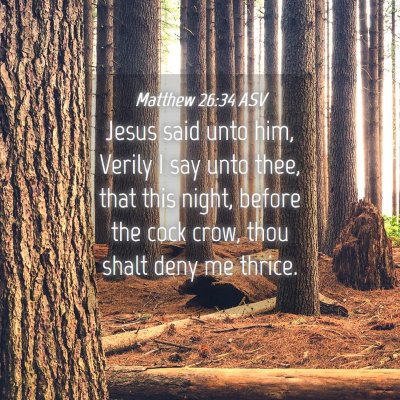 Picture 04 - Matthew 26:34 ASV - Jesus said unto him, Verily I say unto thee, that - Bible Verse Picture