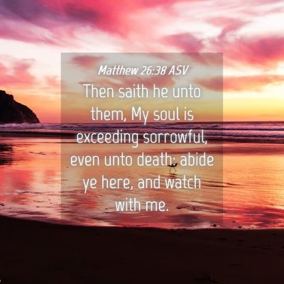 Picture 04 - Matthew 26:38 ASV - Then saith he unto them, My soul is exceeding - Bible Verse Picture