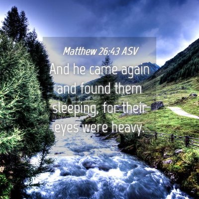 Picture 04 - Matthew 26:43 ASV - And he came again and found them sleeping, for - Bible Verse Picture
