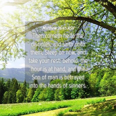 Picture 04 - Matthew 26:45 ASV - Then cometh he to the disciples, and saith unto - Bible Verse Picture