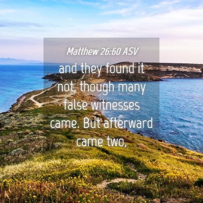 Picture 04 - Matthew 26:60 ASV - and they found it not, though many false - Bible Verse Picture