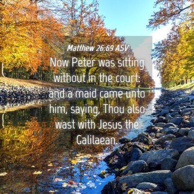 Picture 04 - Matthew 26:69 ASV - Now Peter was sitting without in the court: and a - Bible Verse Picture