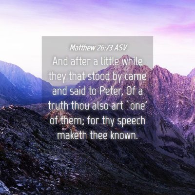 Picture 04 - Matthew 26:73 ASV - And after a little while they that stood by came - Bible Verse Picture