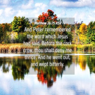 Picture 04 - Matthew 26:75 ASV - And Peter remembered the word which Jesus had - Bible Verse Picture