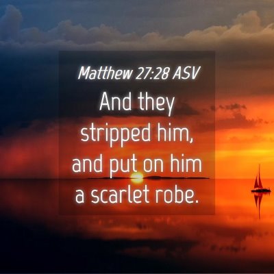Picture 04 - Matthew 27:28 ASV - And they stripped him, and put on him a scarlet - Bible Verse Picture