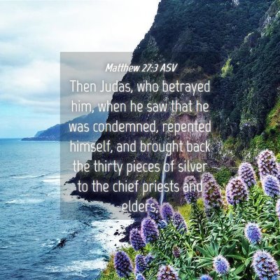 Picture 04 - Matthew 27:3 ASV - Then Judas, who betrayed him, when he saw that he - Bible Verse Picture