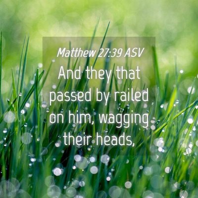 Picture 04 - Matthew 27:39 ASV - And they that passed by railed on him, wagging - Bible Verse Picture