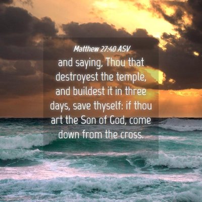 Picture 04 - Matthew 27:40 ASV - and saying, Thou that destroyest the temple, and - Bible Verse Picture