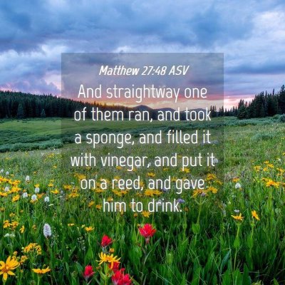 Picture 04 - Matthew 27:48 ASV - And straightway one of them ran, and took a - Bible Verse Picture