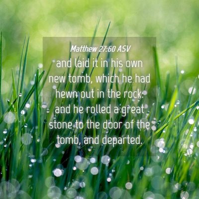 Picture 04 - Matthew 27:60 ASV - and laid it in his own new tomb, which he had - Bible Verse Picture