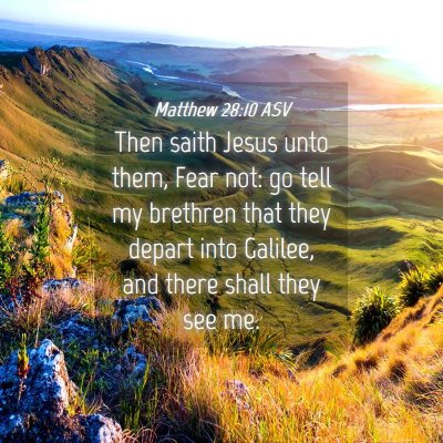 Picture 04 - Matthew 28:10 ASV - Then saith Jesus unto them, Fear not: go tell my - Bible Verse Picture