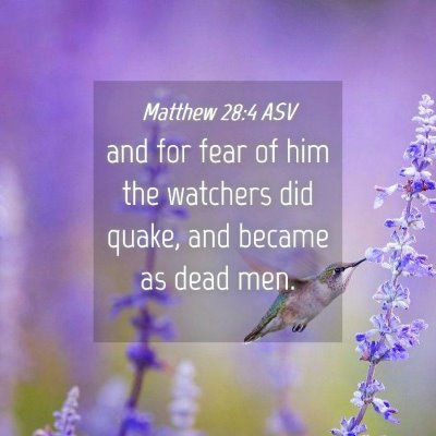 Picture 04 - Matthew 28:4 ASV - and for fear of him the watchers did quake, and - Bible Verse Picture