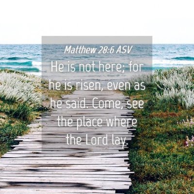 Picture 04 - Matthew 28:6 ASV - He is not here; for he is risen, even as he said. - Bible Verse Picture