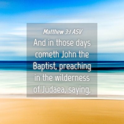Picture 04 - Matthew 3:1 ASV - And in those days cometh John the Baptist, - Bible Verse Picture