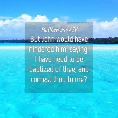 Picture 04 - Matthew 3:14 ASV - But John would have hindered him, saying, I have - Bible Verse Picture