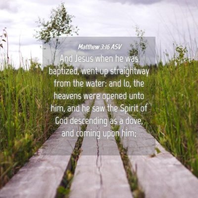 Picture 04 - Matthew 3:16 ASV - And Jesus when he was baptized, went up - Bible Verse Picture