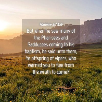 Picture 04 - Matthew 3:7 ASV - But when he saw many of the Pharisees and - Bible Verse Picture