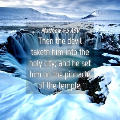Picture 04 - Matthew 4:5 ASV - Then the devil taketh him into the holy city; and - Bible Verse Picture
