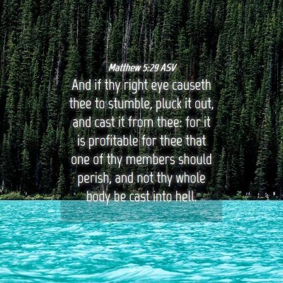 Picture 04 - Matthew 5:29 ASV - And if thy right eye causeth thee to stumble, - Bible Verse Picture