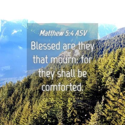 Picture 04 - Matthew 5:4 ASV - Blessed are they that mourn: for they shall be - Bible Verse Picture