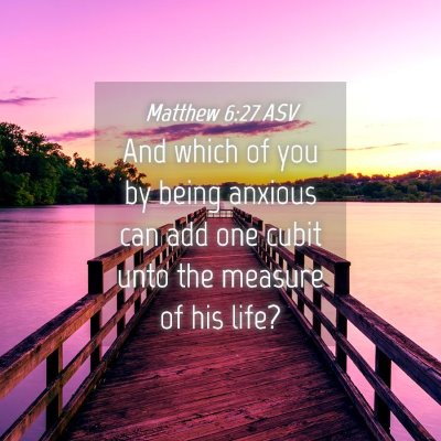Picture 04 - Matthew 6:27 ASV - And which of you by being anxious can add one - Bible Verse Picture