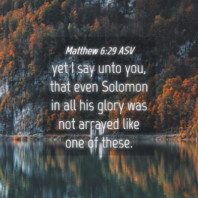 Picture 04 - Matthew 6:29 ASV - yet I say unto you, that even Solomon in all his - Bible Verse Picture