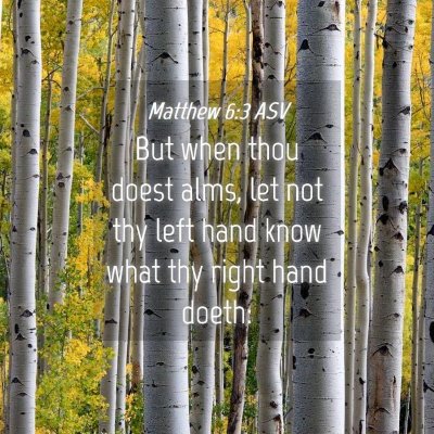 Picture 04 - Matthew 6:3 ASV - But when thou doest alms, let not thy left hand - Bible Verse Picture