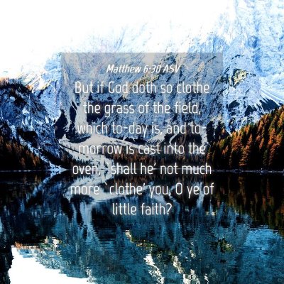 Picture 04 - Matthew 6:30 ASV - But if God doth so clothe the grass of the field, - Bible Verse Picture