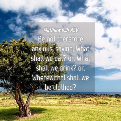 Picture 04 - Matthew 6:31 ASV - Be not therefore anxious, saying, What shall we - Bible Verse Picture