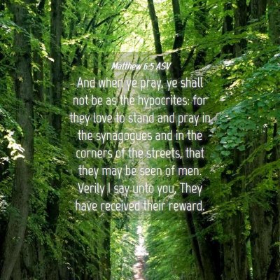 Picture 04 - Matthew 6:5 ASV - And when ye pray, ye shall not be as the - Bible Verse Picture