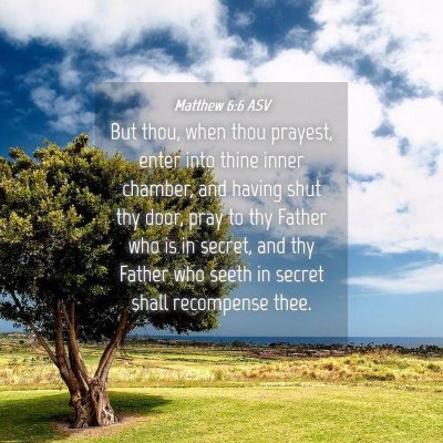 Picture 04 - Matthew 6:6 ASV - But thou, when thou prayest, enter into thine - Bible Verse Picture